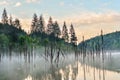 Strains reflection. Lake Cuejdel. Piatra Neamt. Romania