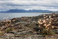Strait of Magellan, Chile Royalty Free Stock Photo