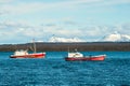 Strait Of Magellan, Puerto Natales, Chile