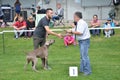 Stranavy, Slovakia - September 10, 2017: Judge congratulates the winner of one category in local dog show, dog breed is pointer