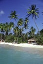 Strand auf der Karibikinsel Tobago Royalty Free Stock Photo