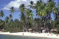 Strand auf der Karibikinsel Tobago Royalty Free Stock Photo