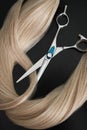 A strand of blond hair with scissors on a black background. Close-up. Royalty Free Stock Photo