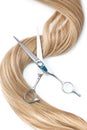 A strand of blond hair with scissors on a white background. Close-up. Royalty Free Stock Photo