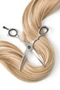 A strand of blond hair with scissors on a white background. Close-up. Royalty Free Stock Photo