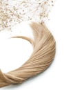 A strand of blond hair on a white background. Close-up. Royalty Free Stock Photo