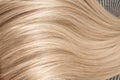 A strand of blond hair on a white background. Close-up. Royalty Free Stock Photo
