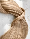 A strand of blond hair on a white background. Close-up. Royalty Free Stock Photo