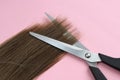 A strand of hair lies with scissors to cut the ends Royalty Free Stock Photo