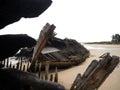 Stranded broken wooden shipwrecks on fishing boat naval graveyard marine cemetery in Magouer Etel river Brittany France