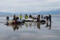 Stranded pilot whales beached on Farewell Spit, being kept cool by volunteers