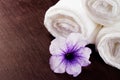 Stranded in rolls of white towels close up at the Spa Studio Royalty Free Stock Photo