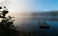 Stranded dock at cottage lakeside Royalty Free Stock Photo