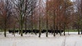 STRANDED STOCK. Motueka, New Zealand 17 July 2021. Cows have taken shelter in trees but are now surrounded by flood waters after