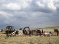 Stranded whale at Scheveningen