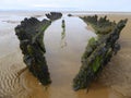 Stranded wreck of a wooden barque