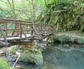 Strandja nature park, Bulgaria Royalty Free Stock Photo