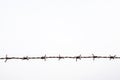 Strands of barb wire isolated against white
