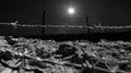 Strands of barbed wire stretch across the moonlit mesa a reminder of the harsh realities of surviving in the unforgiving