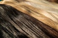 Strands of hair for extensions, Sunny photo