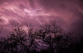Lightning on purple sky Royalty Free Stock Photo