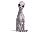 Strange alien dog from area 51 Royalty Free Stock Photo