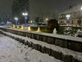 Fountain in winter