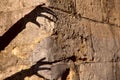 Strange black silhouette shadow of two hands on an old brown stone wall. Royalty Free Stock Photo