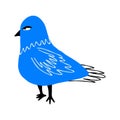 Strange blue pigeon. Modern hand drawn cartoon illustration of bird in doodle style