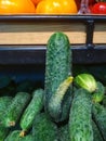 Strange cucumber. Deviations. Genetically modified foods.