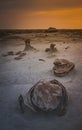 Alien Egg, Unusual Place on Earth, Bisti Badlans, New Mexico, Usa Royalty Free Stock Photo