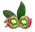 Ibrid fruit dragon fruit-kiwi