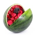 Ibrid fruit watermelon-berries