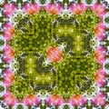 Strange Kaleidoscope Edit with Colourful Flowers