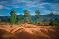 Strange landscape whose soil evokes the Martian surface with trees small red sandstone dunes and mountains in the background Royalty Free Stock Photo