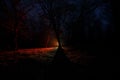 strange light in a dark forest at night. Silhouette of person standing in the dark forest with light. Dark night in forest at fog Royalty Free Stock Photo