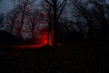 strange light in a dark forest at night. Silhouette of person standing in the dark forest with light. Dark night in forest at fog Royalty Free Stock Photo