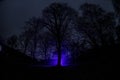 strange light in a dark forest at night. Silhouette of person standing in the dark forest with light. Dark night in forest at fog