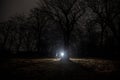 strange light in a dark forest at night. Silhouette of person standing in the dark forest with light. Dark night in forest at fog Royalty Free Stock Photo