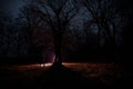 strange light in a dark forest at night. Silhouette of person standing in the dark forest with light. Dark night in forest at fog Royalty Free Stock Photo