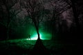 strange light in a dark forest at night. Silhouette of person standing in the dark forest with light. Dark night in forest at fog Royalty Free Stock Photo