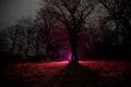 strange light in a dark forest at night. Silhouette of person standing in the dark forest with light. Dark night in forest at fog Royalty Free Stock Photo