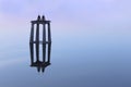Strange Object Reflected At The Lake. Royalty Free Stock Photo