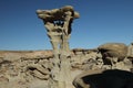 Strange Rock Formation in Bisti Badlands (Alien Throne) New Mexico