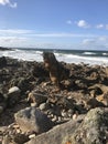 Strange rock shapes on Scottish seashore