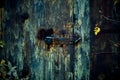 Strange scary dark rusty iron closed mystical mysterious old basement door with deadbolt lock, horror background with grunge metal