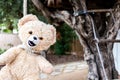 Strange and scary image, a teddy bear hanged with a neck rope
