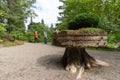 Strange sculpture supporting a bonzai, Metis-sur-mer, Quebec, Canada