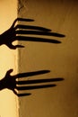 Strange Shadow On The Wall.Terrible Shadow. Abstract Background. Black Shadow Of A Big Hand On The Wall. Silhouette Of A Hand On T