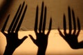 Strange Shadow On The Wall.Terrible Shadow. Abstract Background. Black Shadow Of A Big Hand On The Wall. Silhouette Of A Hand On T